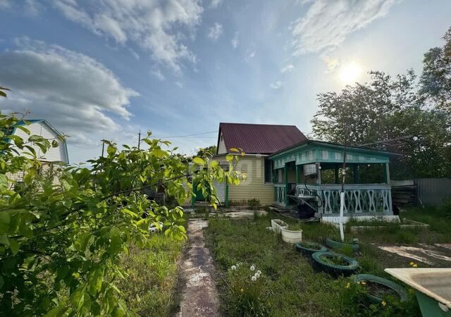 земля Еврейская автономная обл., Смидовичский р-н, СНТ Бам фото