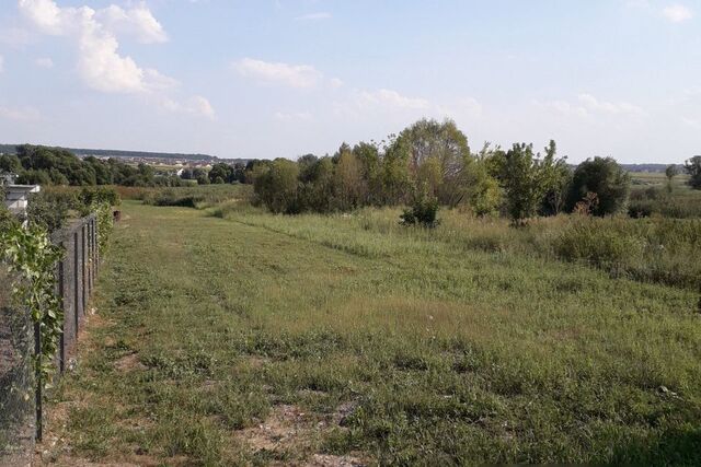 село Беловское фото