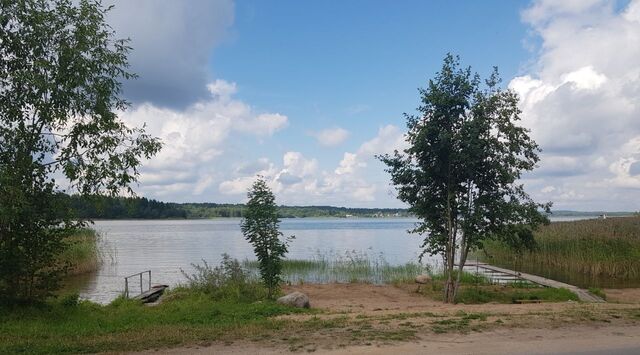 д. Шиляково Суховерховский сельсовет, ул. Полевая фото