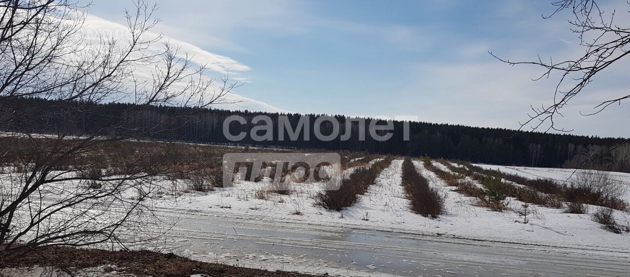 земля г Бийск Заречье ул Мало-Угреневская 1/1 фото 2