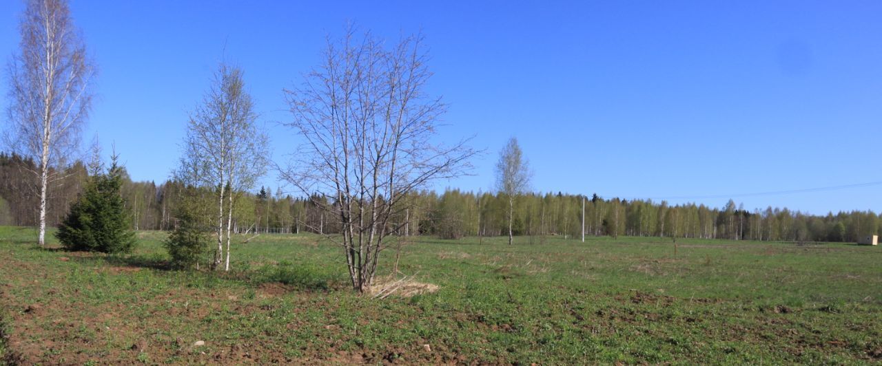 земля городской округ Сергиево-Посадский г Краснозаводск «Холмогоры» фото 5