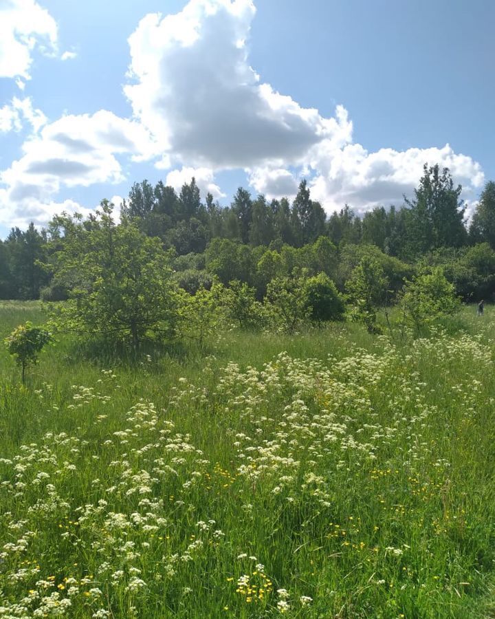 земля р-н Лужский д Заорешье ул Центральная Толмачёвское городское поселение, Толмачево фото 12