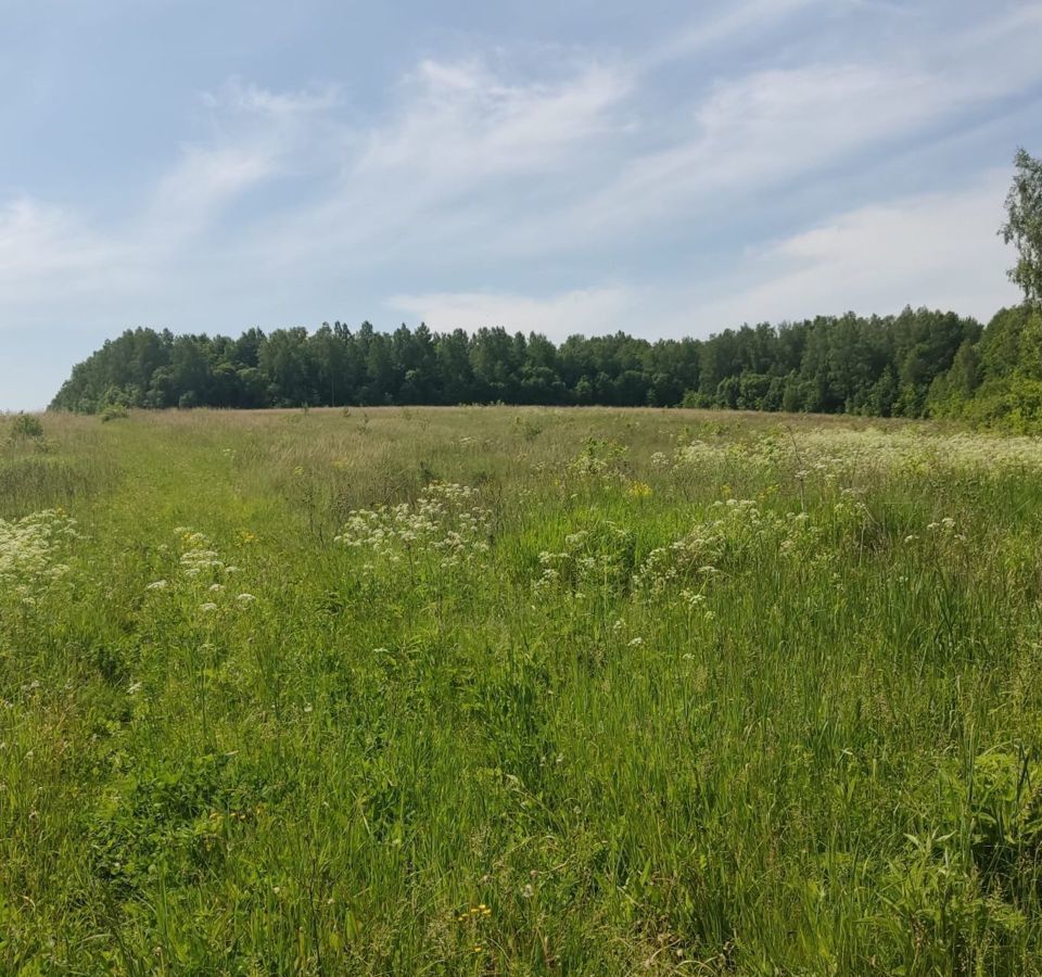 земля г Саранск р-н Ленинский парк культуры и отдыха Ленинского района фото 1