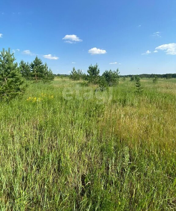 земля р-н Сосновский с Кайгородово Алишевское сельское поселение фото 13