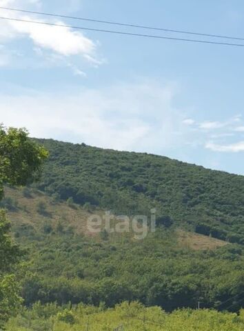 ул Центральная 6 Алатанинский сельсовет фото