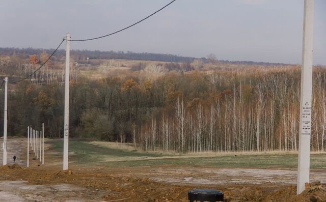 Нижнемедведицкий сельсовет, Курск фото