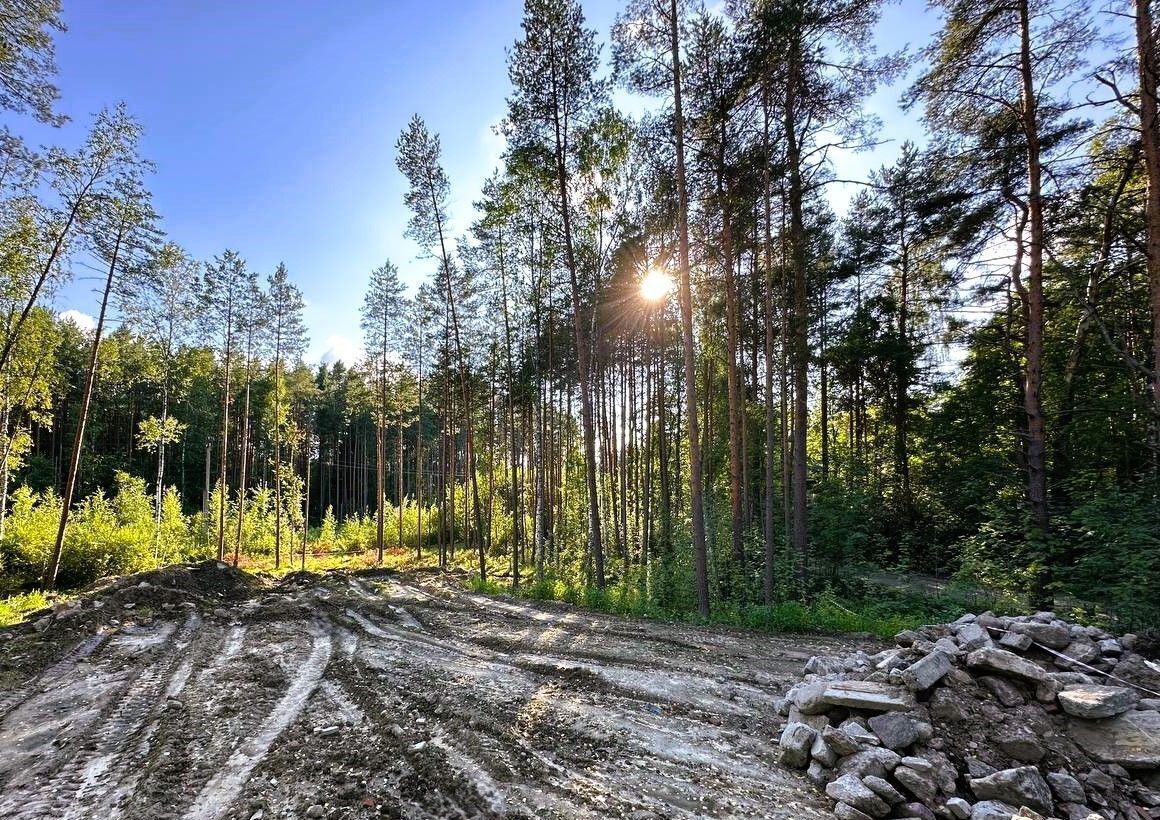 земля р-н Всеволожский д Васкелово Трасса Сортавала, 31 км, Куйвозовское сельское поселение фото 2