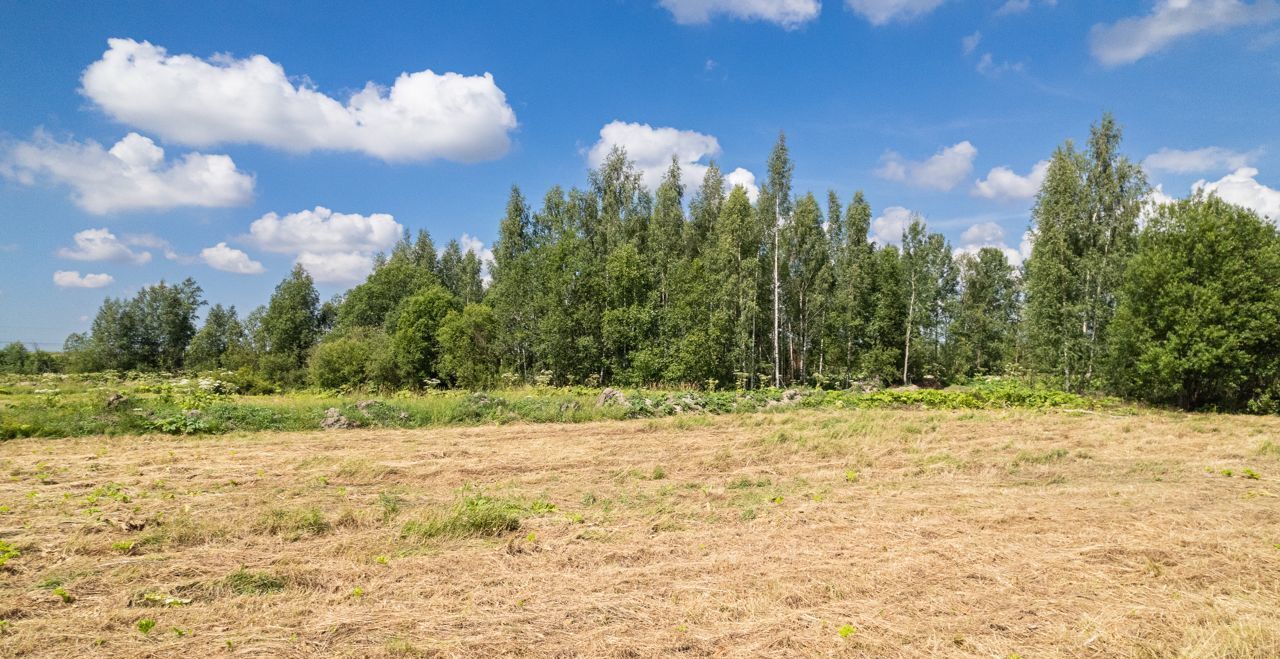 земля р-н Всеволожский г Кудрово Мурманское шоссе, 4 км, Заневское городское поселение, коттеджный пос. Мяглово Парк фото 3