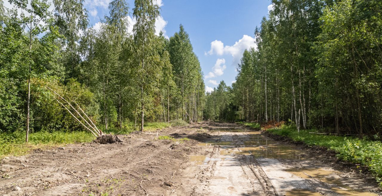 земля р-н Всеволожский г Кудрово Мурманское шоссе, 4 км, Заневское городское поселение, коттеджный пос. Мяглово Парк фото 4