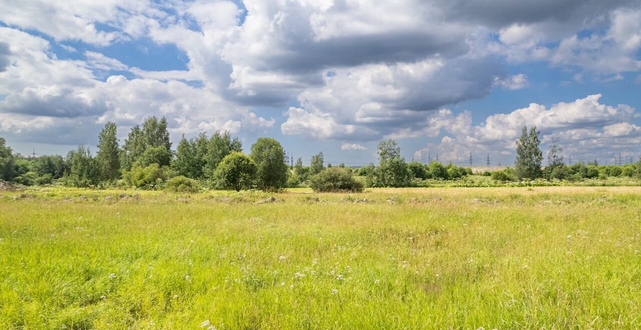 земля р-н Всеволожский г Кудрово Мурманское шоссе, 4 км, Заневское городское поселение, коттеджный пос. Мяглово Парк фото 6