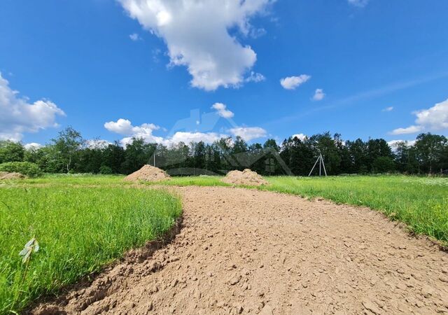 Территориальное управление № 3 Администрации Дмитровского городского округа фото