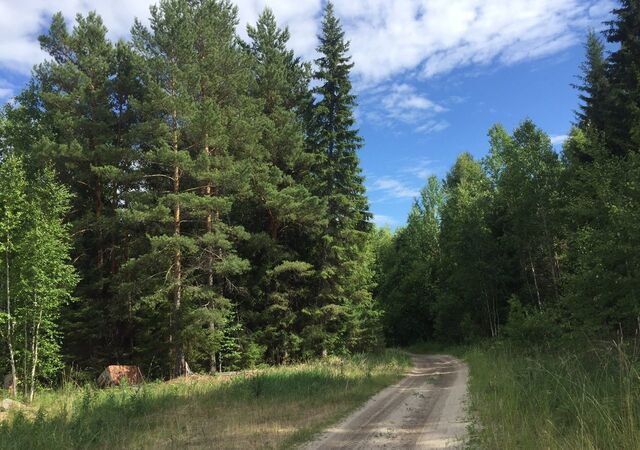 р-н Центральный тракт Велижанский фото