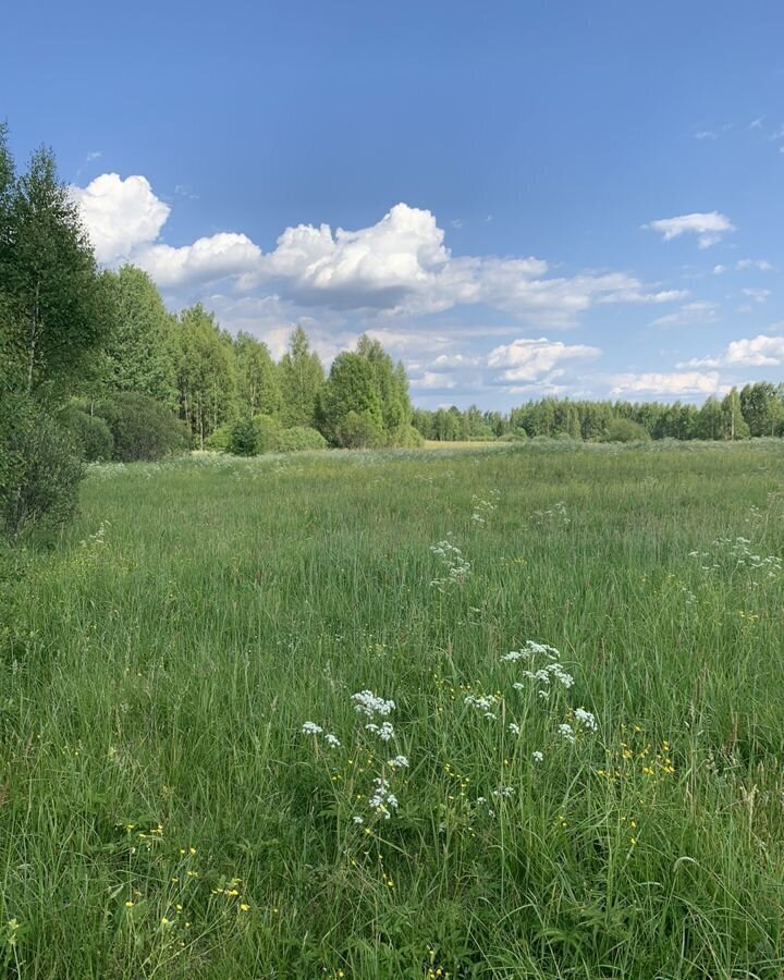 земля р-н Новгородский рп Пролетарий Савинское сельское поселение фото 3