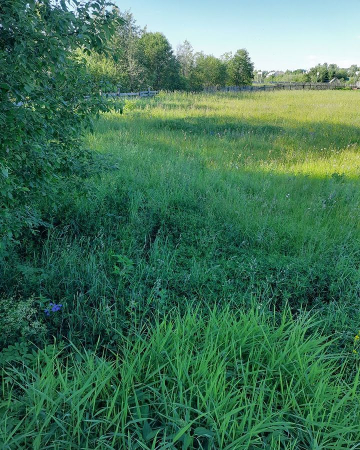 земля р-н Соликамский с Верхнее Мошево ул Советская Соликамск фото 3