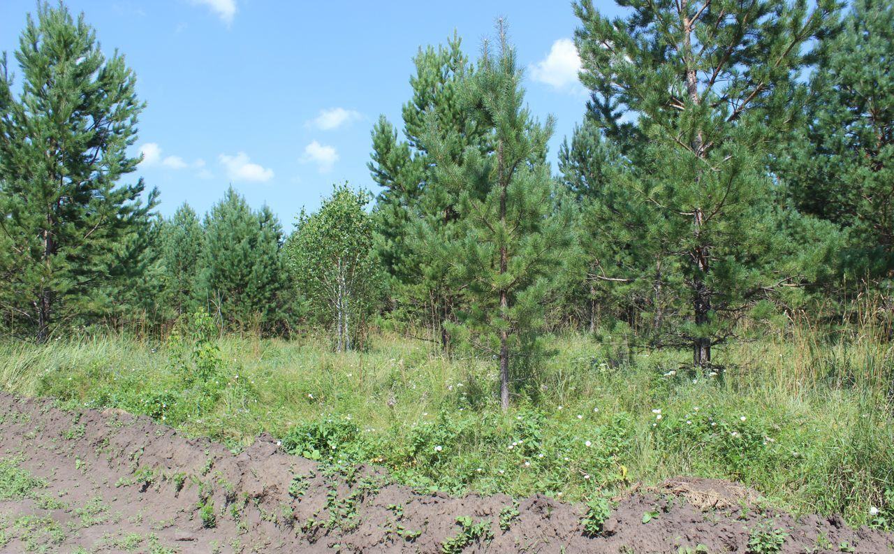 земля р-н Первомайский Санниковский сельсовет, Новоалтайск фото 7