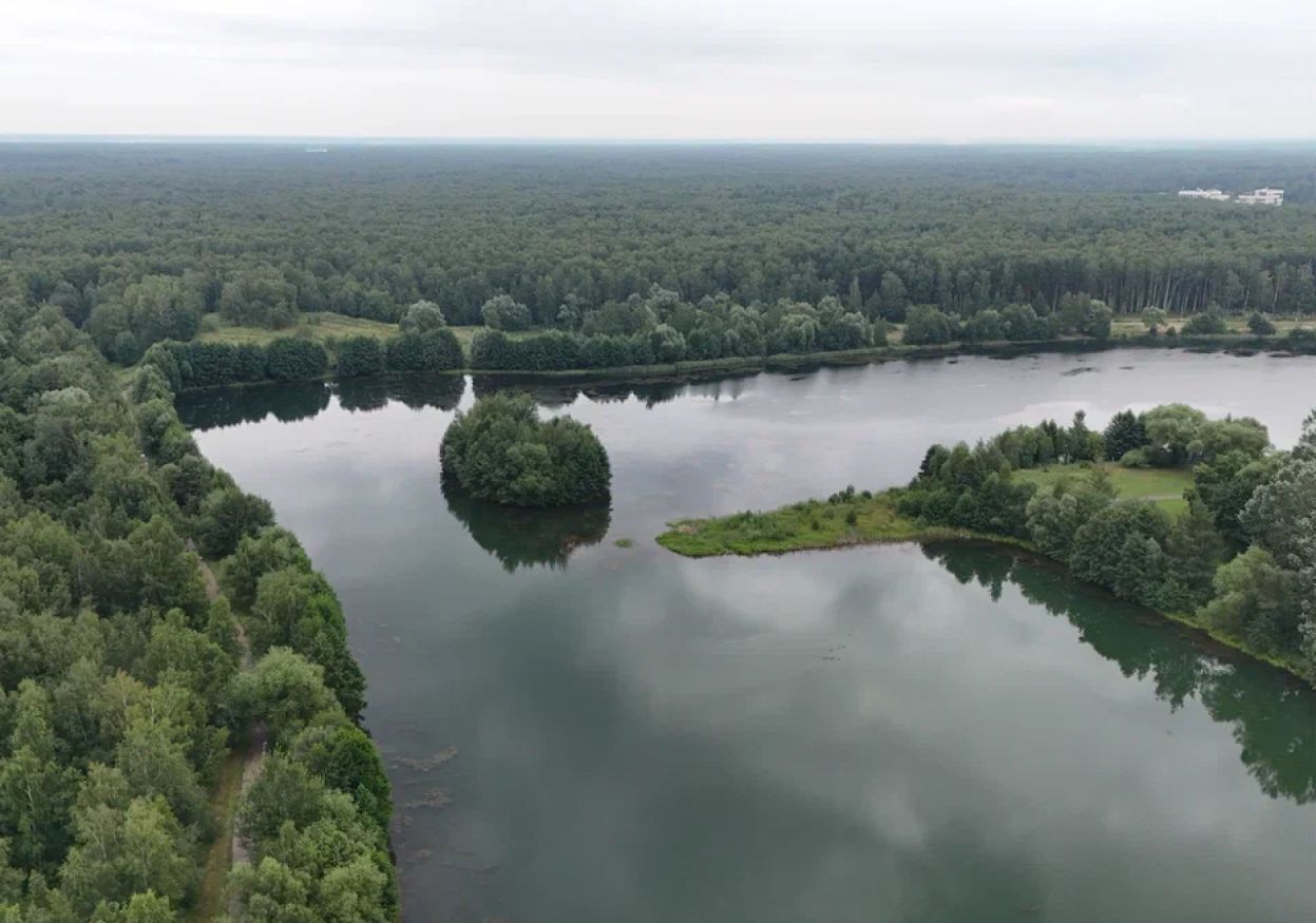 земля г Электросталь ул Юбилейная 3 фото 12