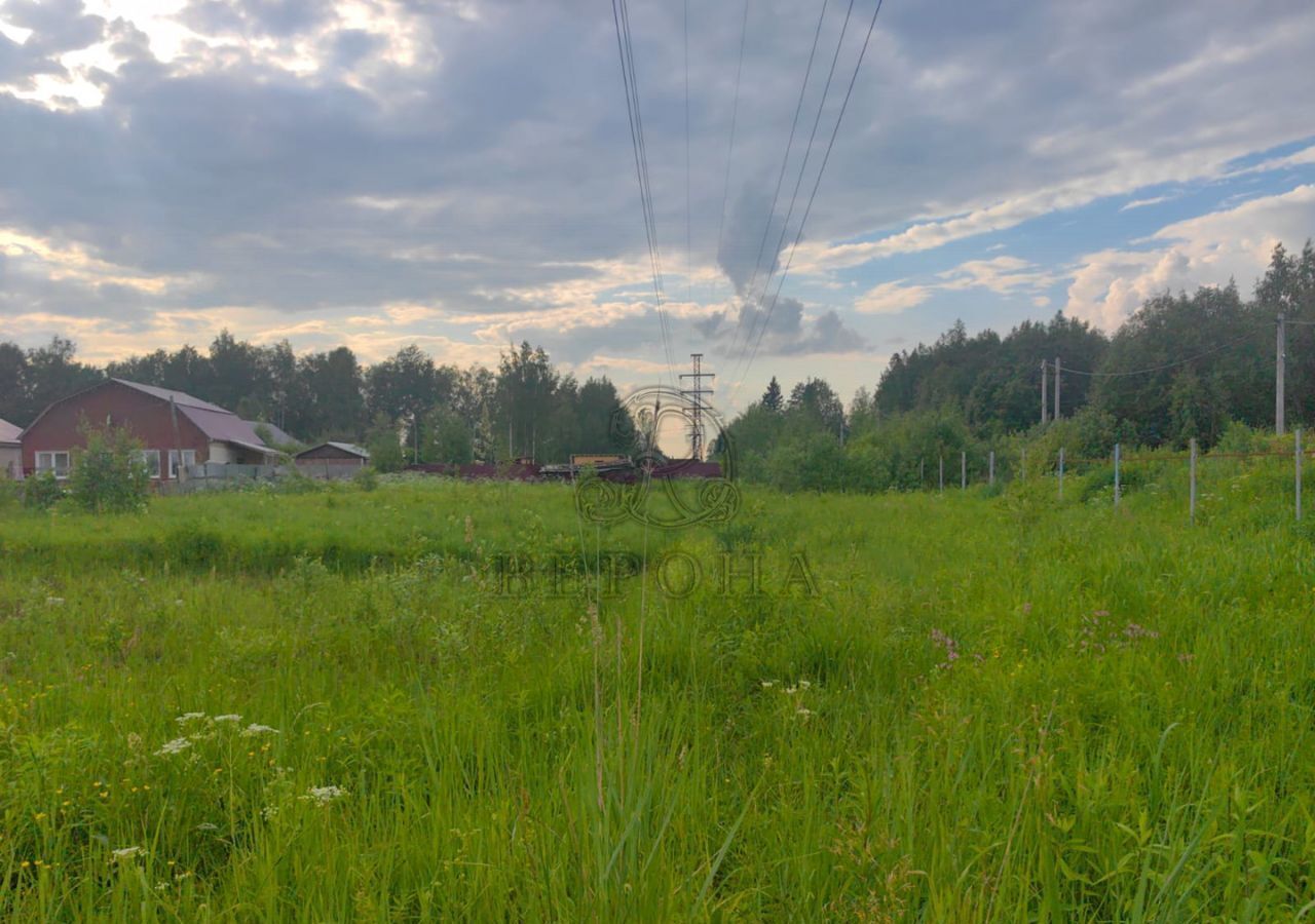 земля г Воскресенск снт Дачное некоммерческое партнёрство Подмосковные Вечера, Павлово-Посадский г. о. фото 11