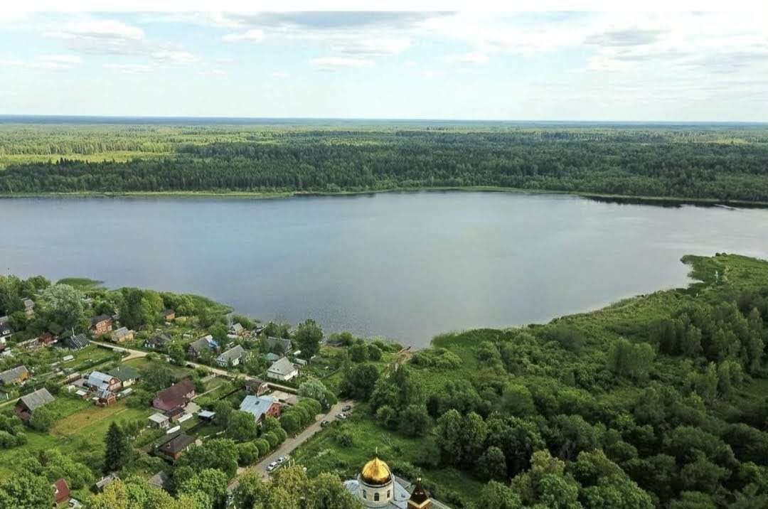 земля р-н Гатчинский п Дружная Горка 65 км, Лужский р-н, Мшинское сельское поселение, д. Большая Дивенка, Киевское шоссе фото 5