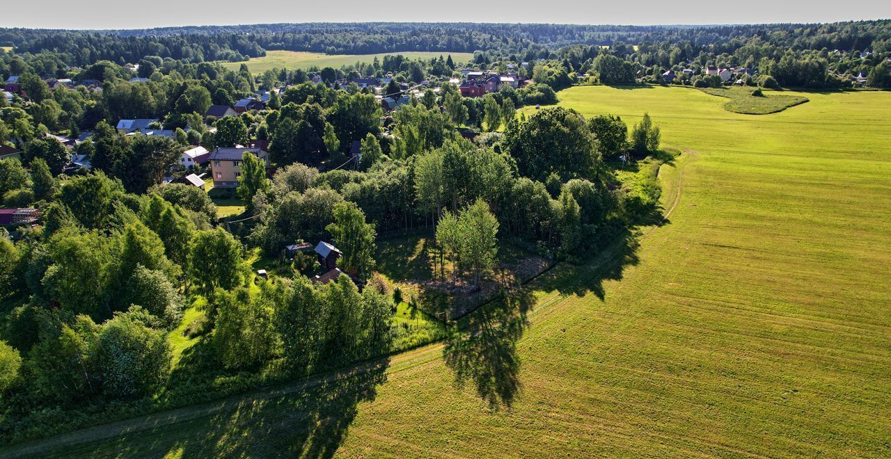 земля городской округ Пушкинский п Ашукино 46Н-09054 фото 2