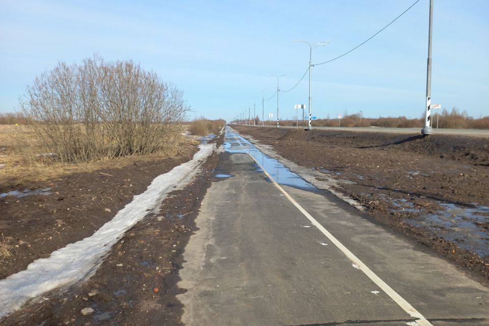 земля р-н Новгородский деревня Борки фото 3