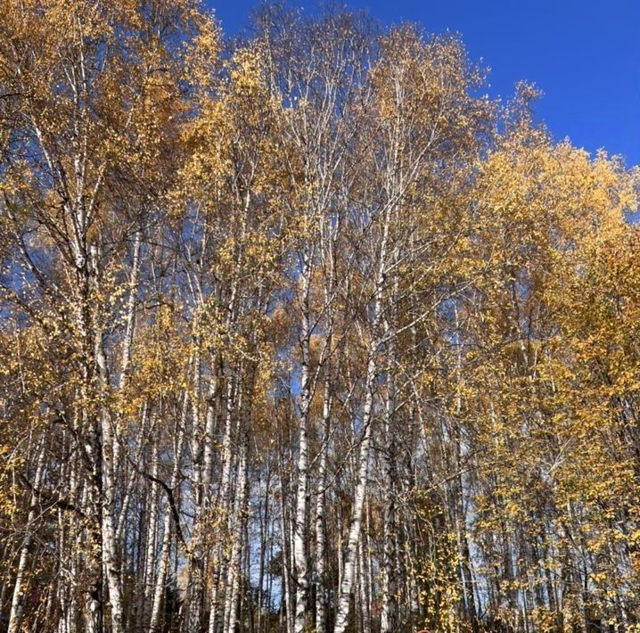 дом г Красноярск р-н Октябрьский ул Елены Стасовой 1а/14 фото 8