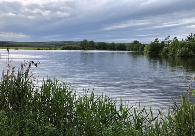 земля г Никольск фото