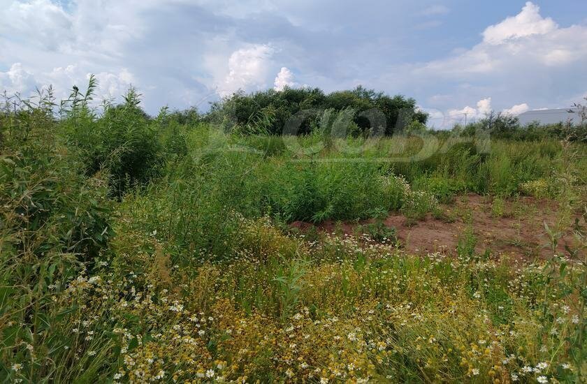 земля г Тюмень р-н Центральный Центральный административный округ фото 1