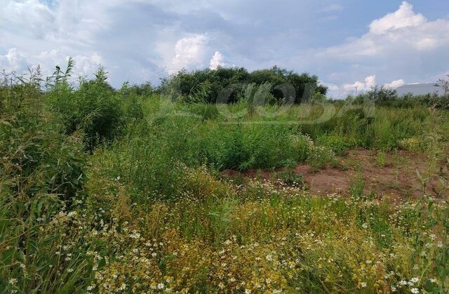 р-н Центральный Центральный административный округ фото