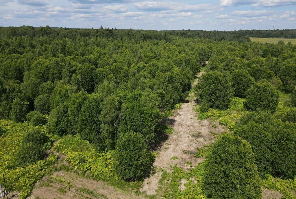 земля городской округ Рузский д Андрейково фото 22