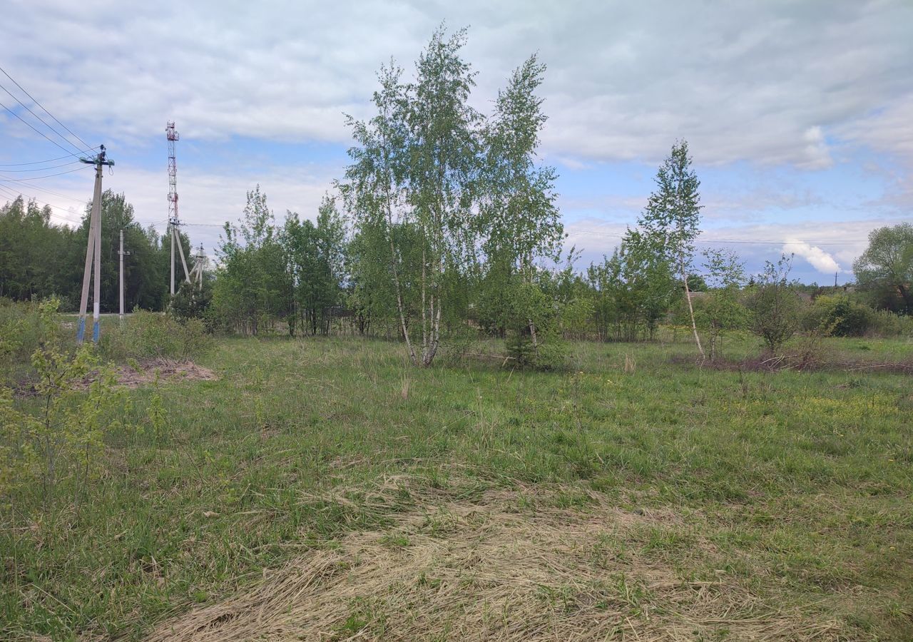 земля городской округ Павловский Посад дп. Ефимово, Дрезна фото 8