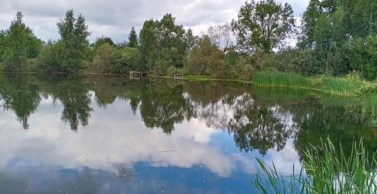 земля городской округ Павловский Посад дп. Ефимово, Дрезна фото 14