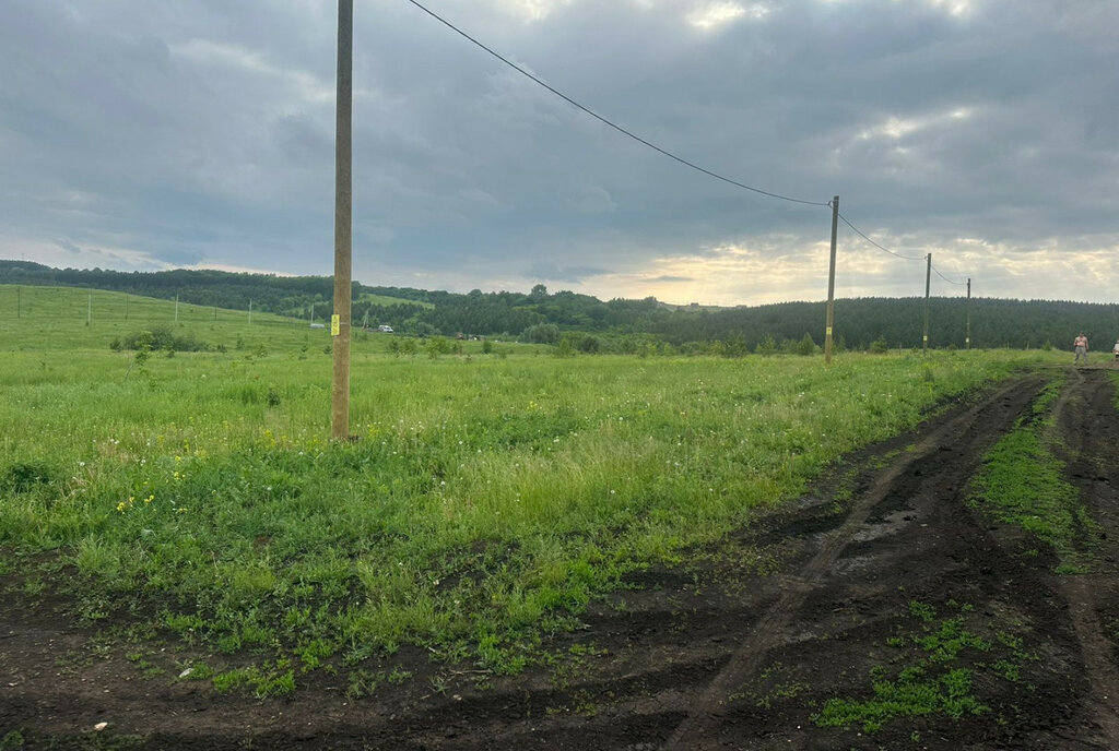 земля р-н Тукаевский д Кулушево ул Шишкина Биюрганское сельское поселение фото 3