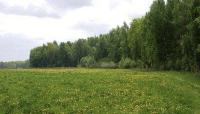 земля городской округ Сергиево-Посадский Сергиев Посад фото 1