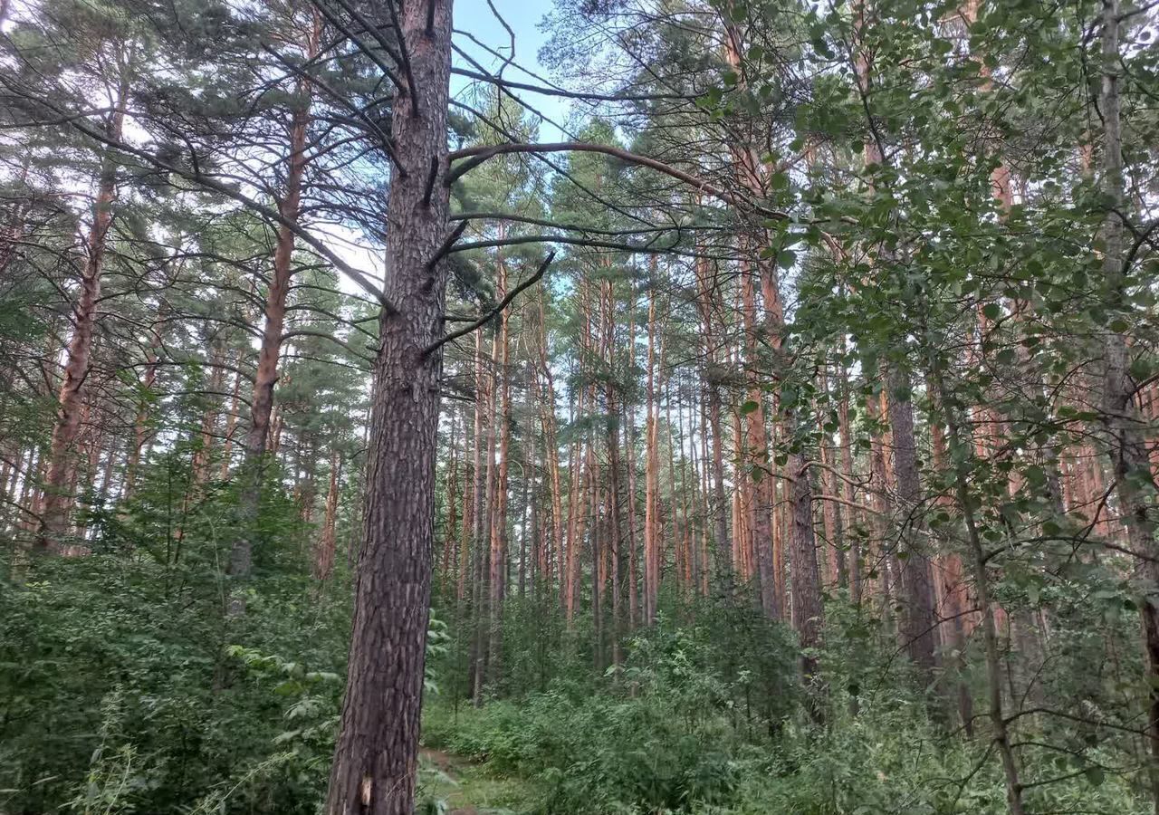 земля р-н Нижнетавдинский п Карагандинский ул Центральная Тюмень фото 17