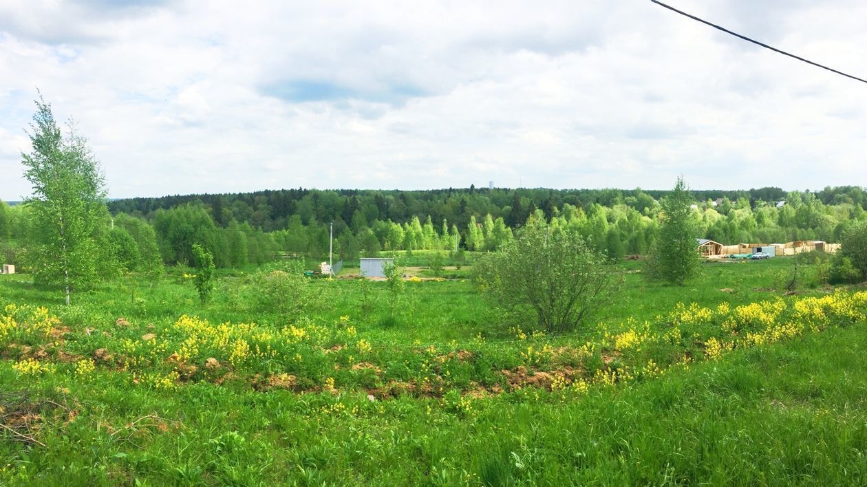 земля городской округ Дмитровский рп Деденево коттеджный пос. Дубровка, Международная ул фото 35