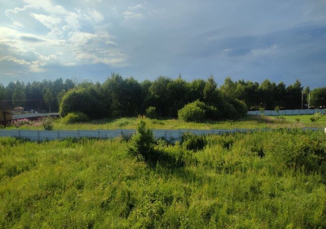 г Калязин ДНТ Маншино, Ярославская обл., г. о. Переславль-Залесский фото