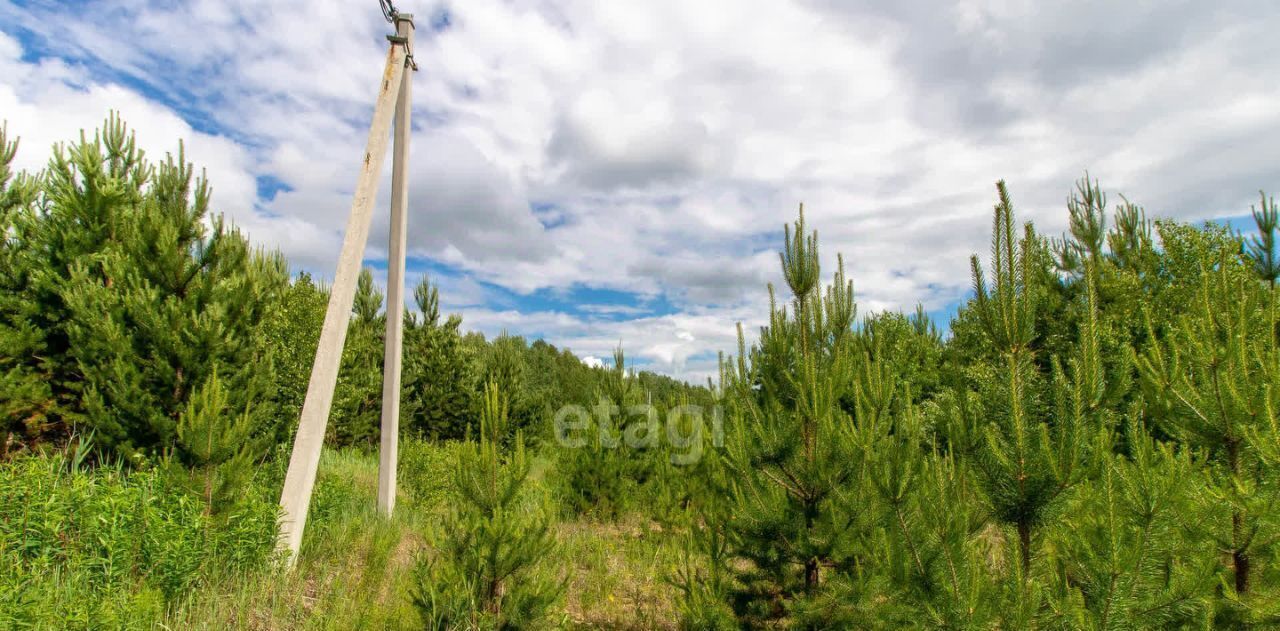 земля р-н Нижнетавдинский д Московка 5-я линия фото 5