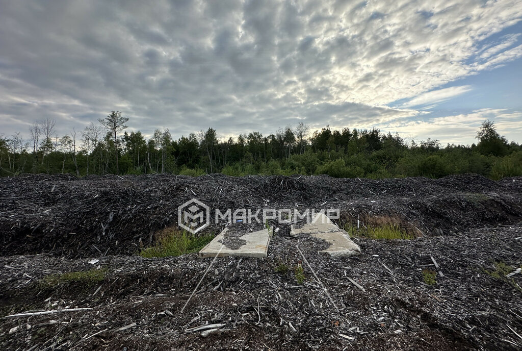 земля г Архангельск р-н Октябрьский округ фото 7