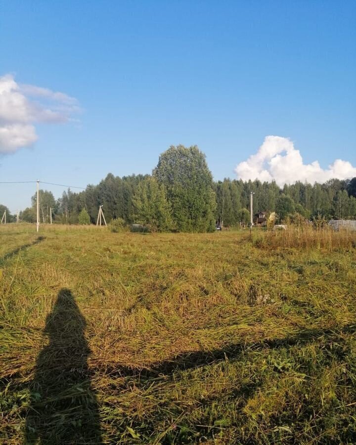 земля городской округ Волоколамский 98 км, территория ТСН Мартово, Волоколамск, Новорижское шоссе фото 7