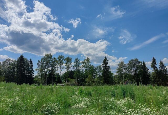 с Жаворонки Лесной Городок фото