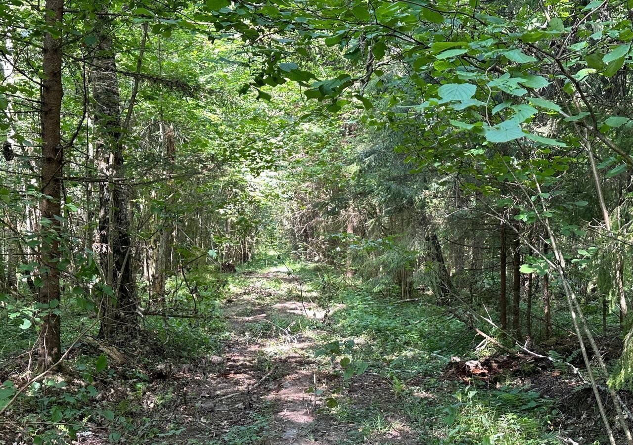 земля р-н Боровский д Каверино сельское поселение Совьяки, Боровск фото 9