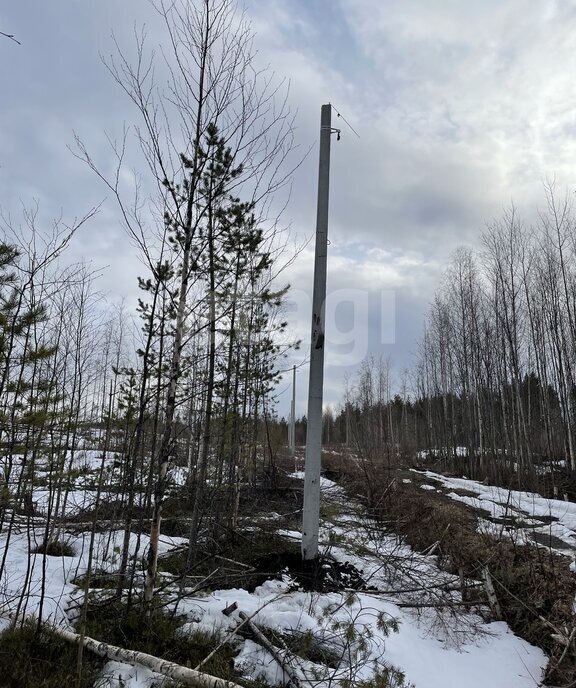 земля г Архангельск КИЗ Славянка фото 1