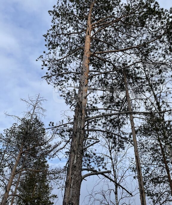 земля г Архангельск КИЗ Славянка фото 3