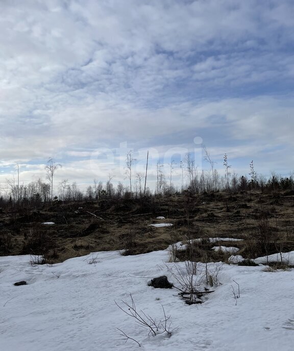 земля г Архангельск КИЗ Славянка фото 2