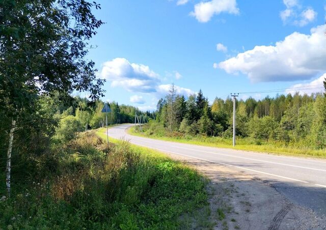 г Высоковск дп. Клинские Сады, г. о. Клин фото