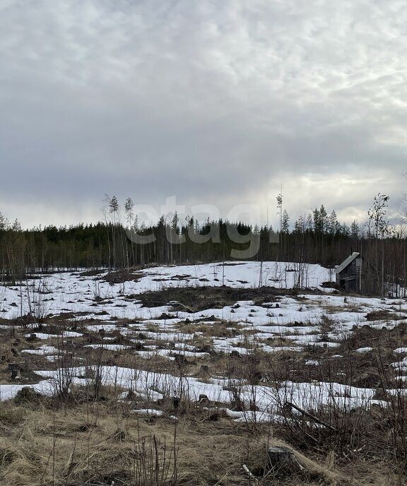 земля г Архангельск КИЗ Славянка фото 5