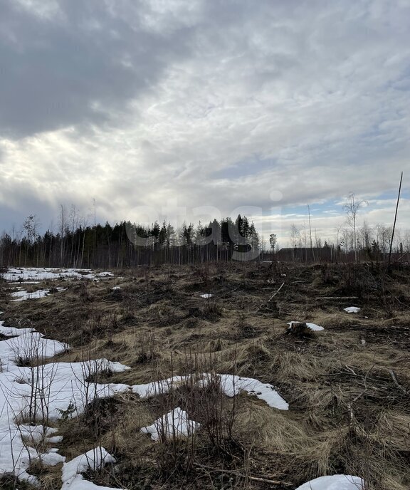 земля г Архангельск КИЗ Славянка фото 6