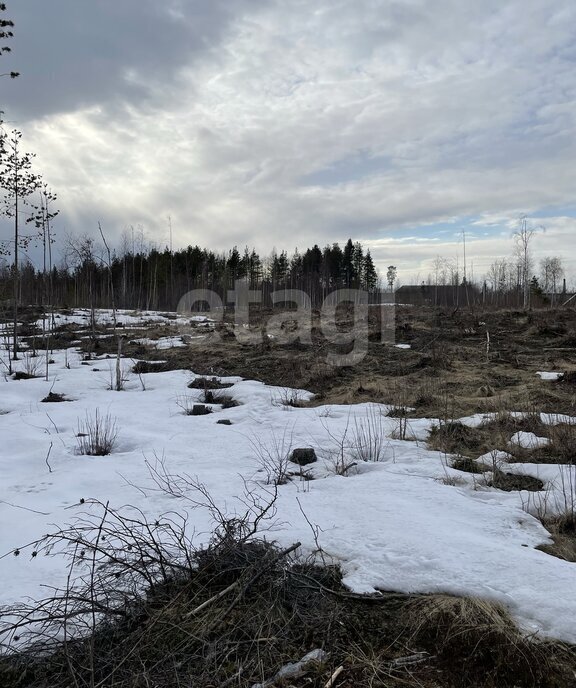 земля г Архангельск КИЗ Славянка фото 7