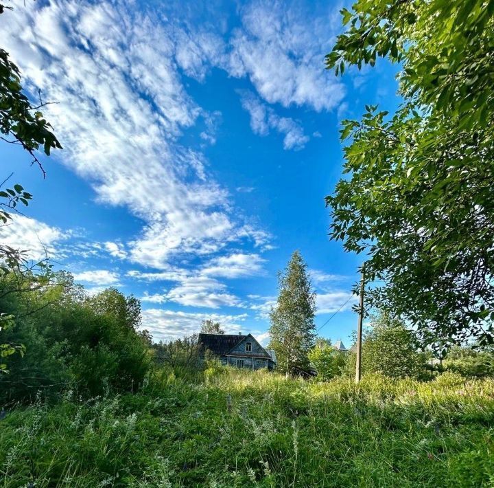 земля р-н Гатчинский Вырица городской поселок, Купчино, ул. Песочная фото 1