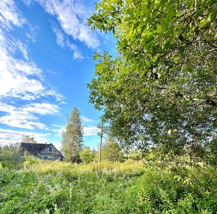 земля р-н Гатчинский Вырица городской поселок, Купчино, ул. Песочная фото 2